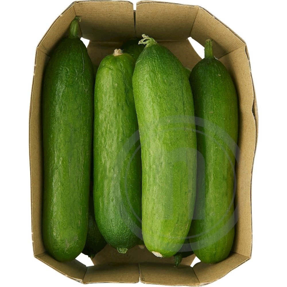 Skoleagurk Øko.