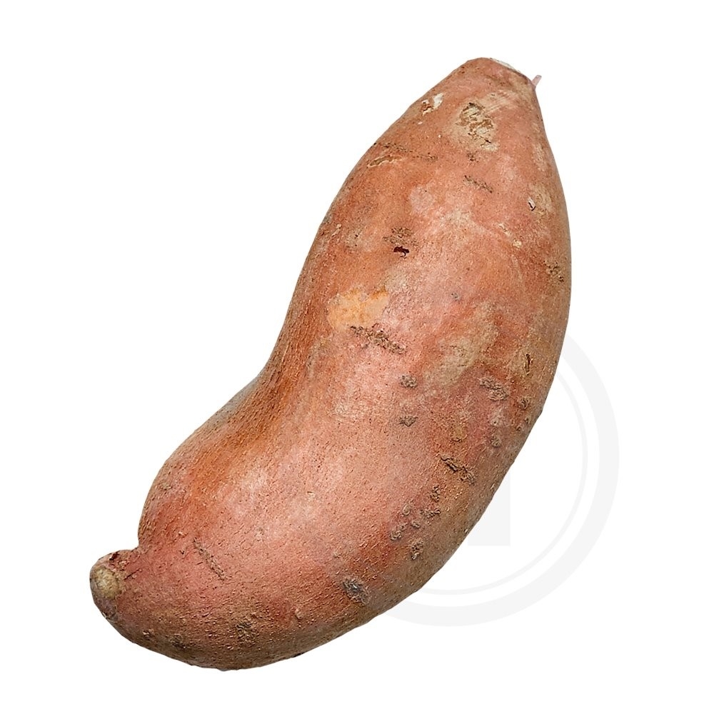 Sød kartoffel øko.