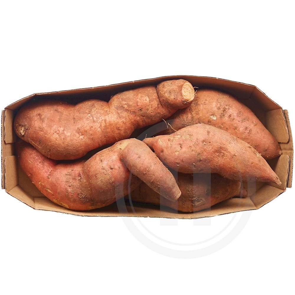 Søde Kartofler Økologisk