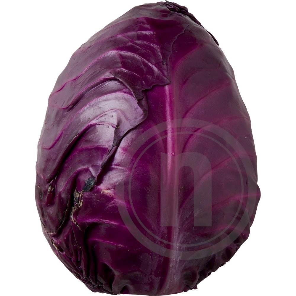 Spidskål Rød Øko.