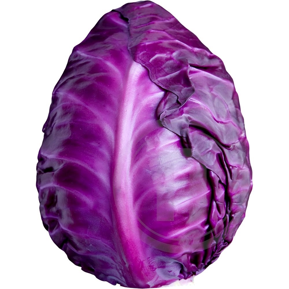 Spidskål Rød