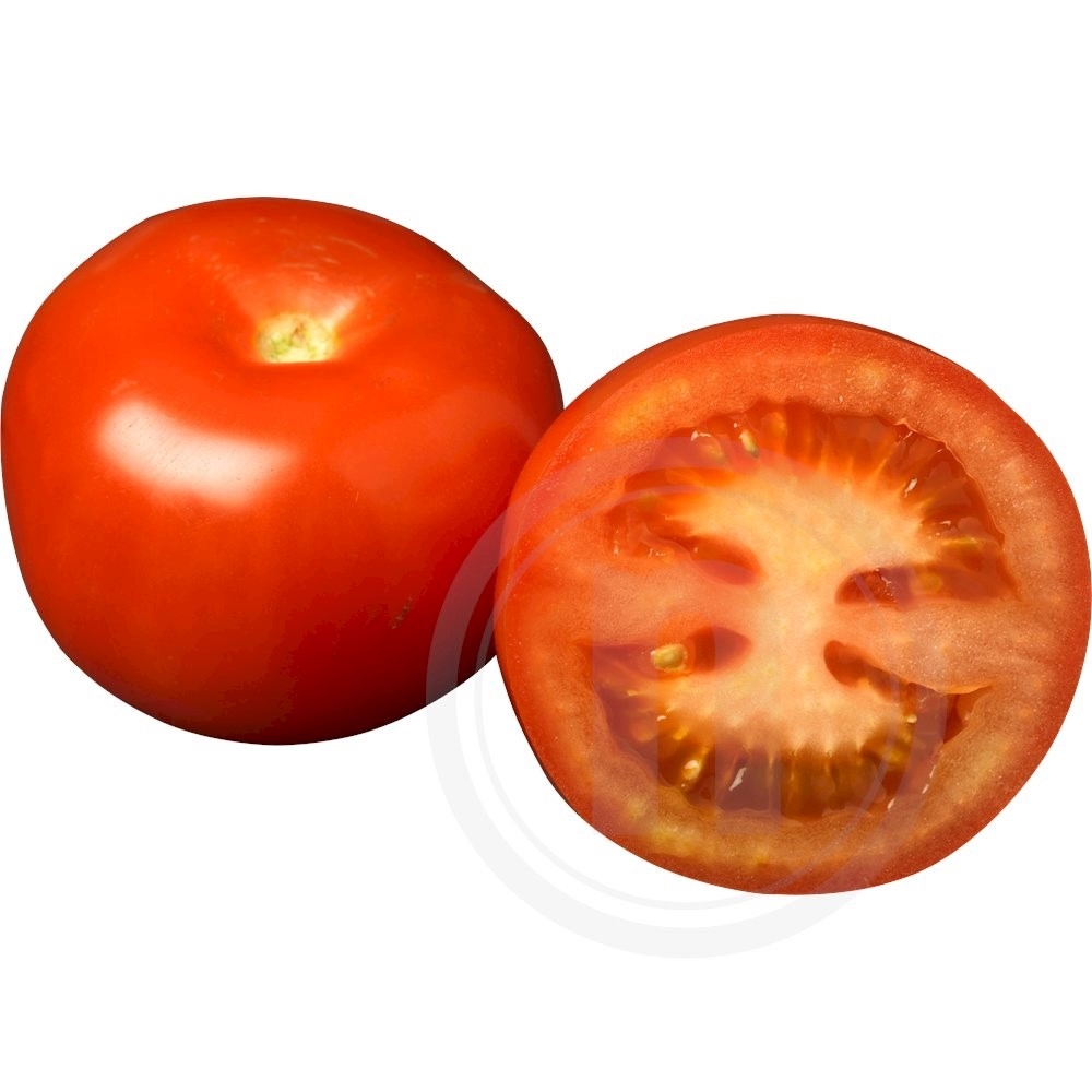Tomat økologisk