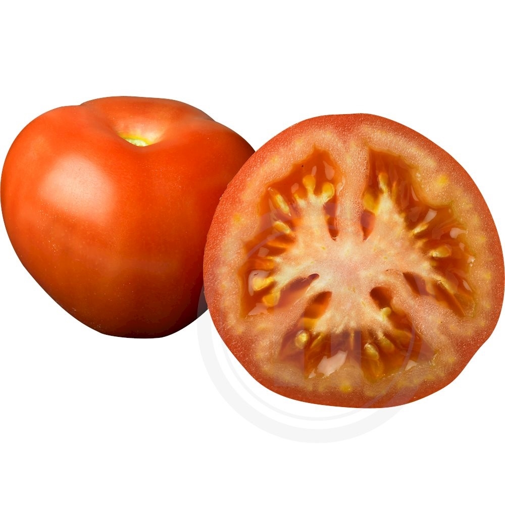 Tomat øko.
