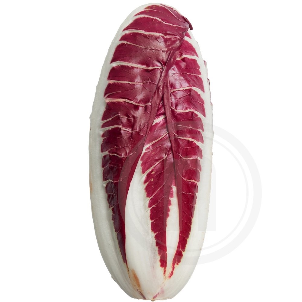 Treviso Salat