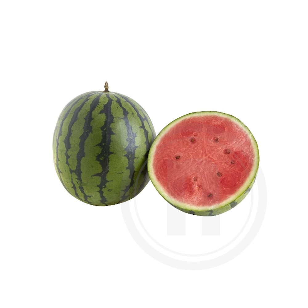 Vandmelon Mini Økologisk