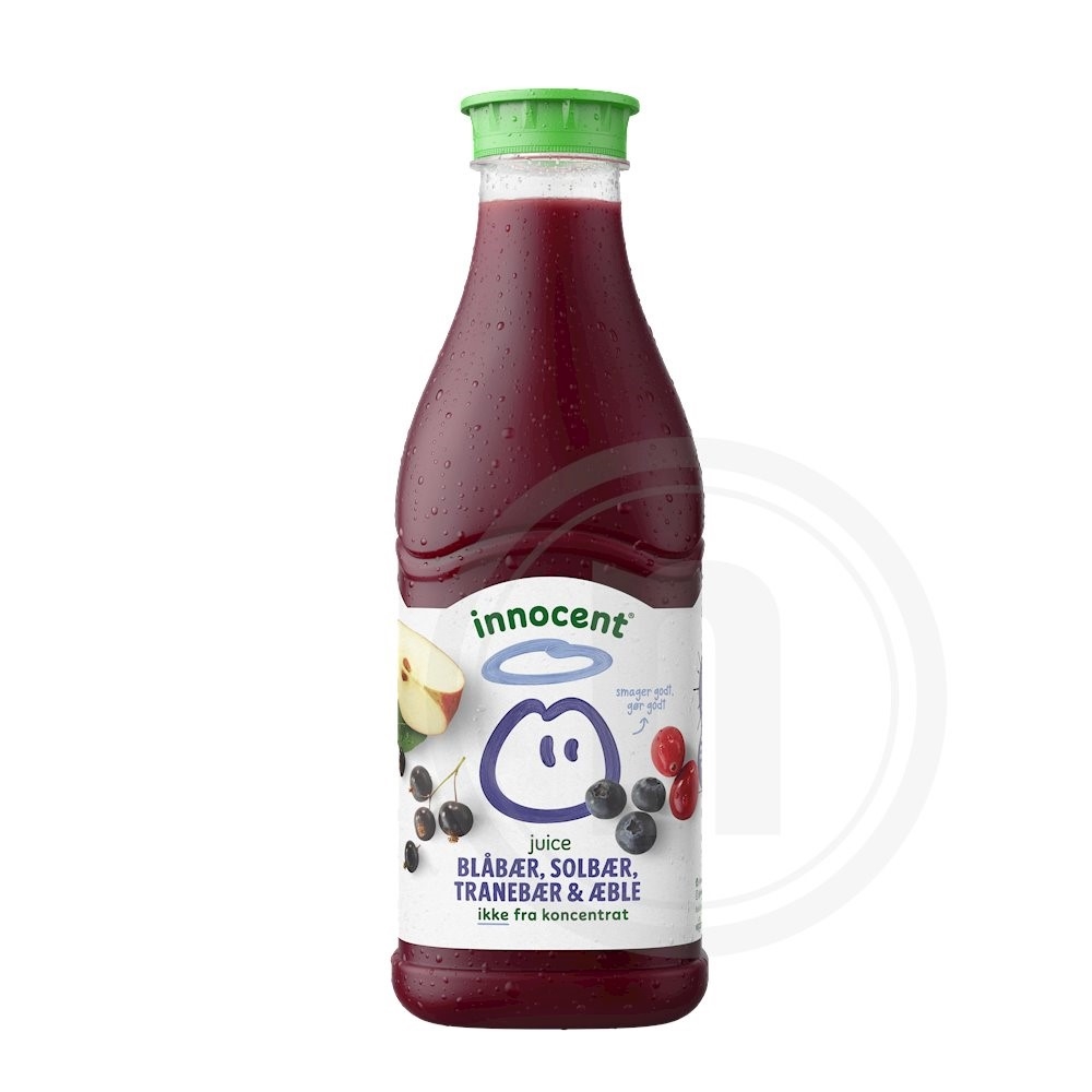 Vilde blåbær- og solbærjuice