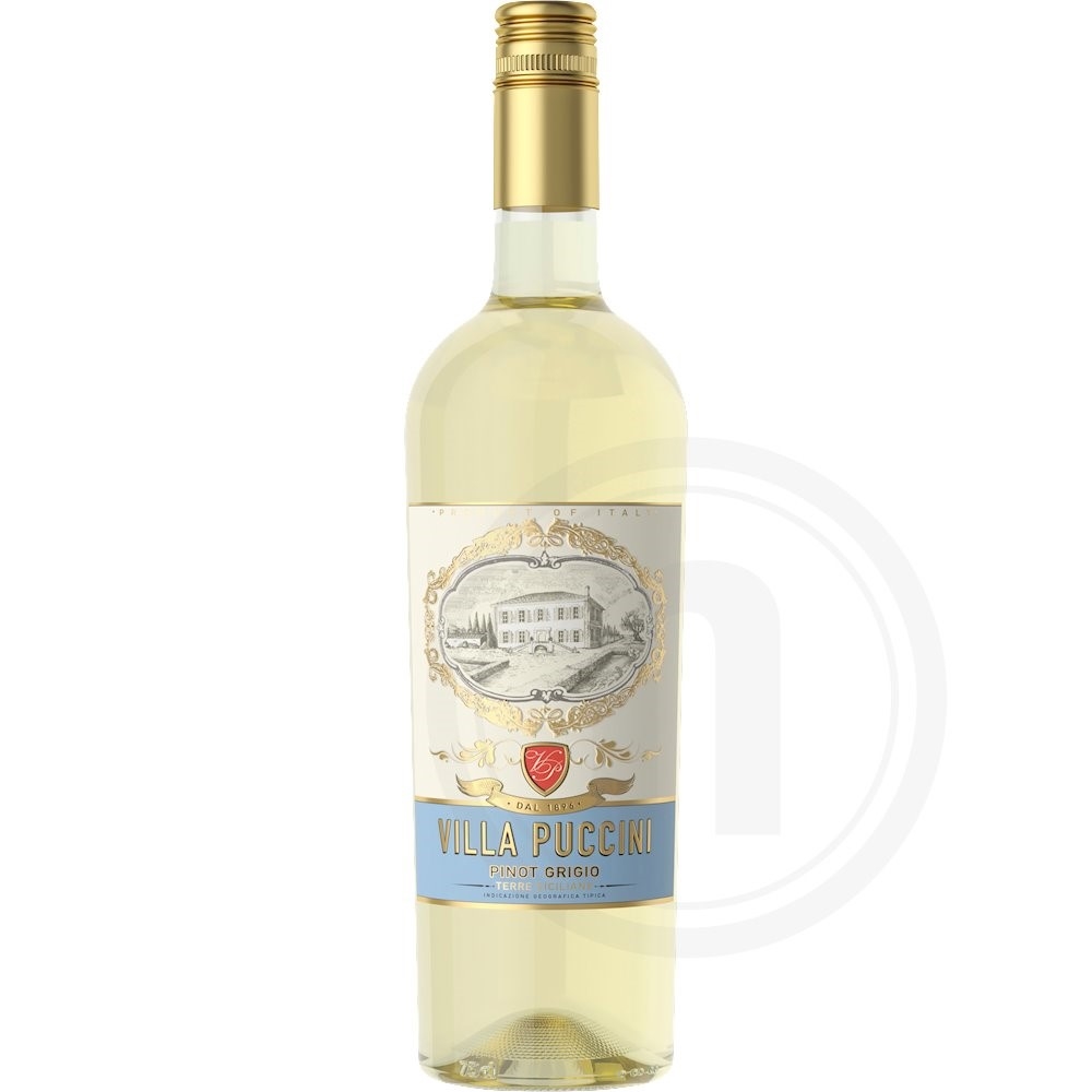 Villa Puccini Pinot Grigio Hvidvin