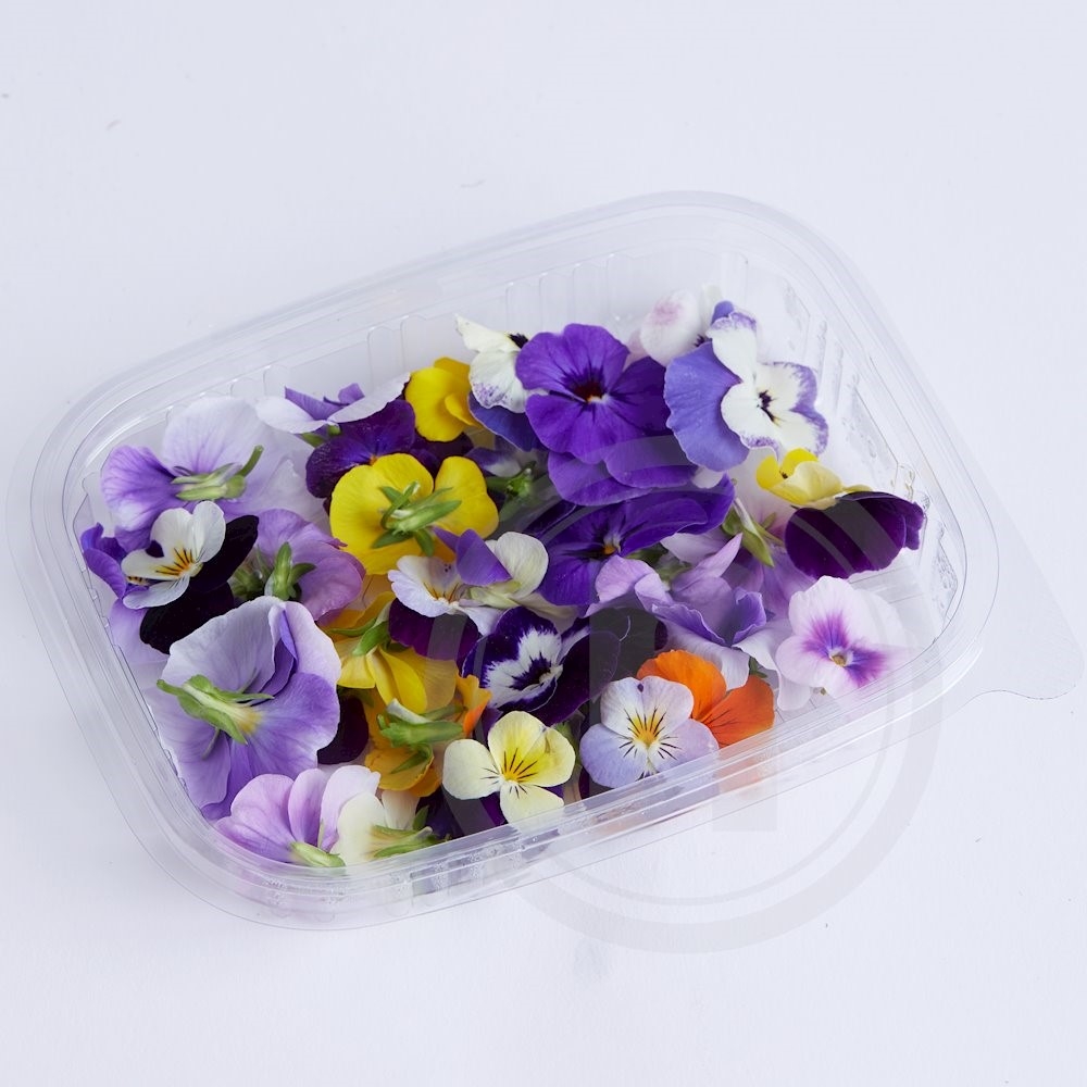 Viol - Pynteblomster