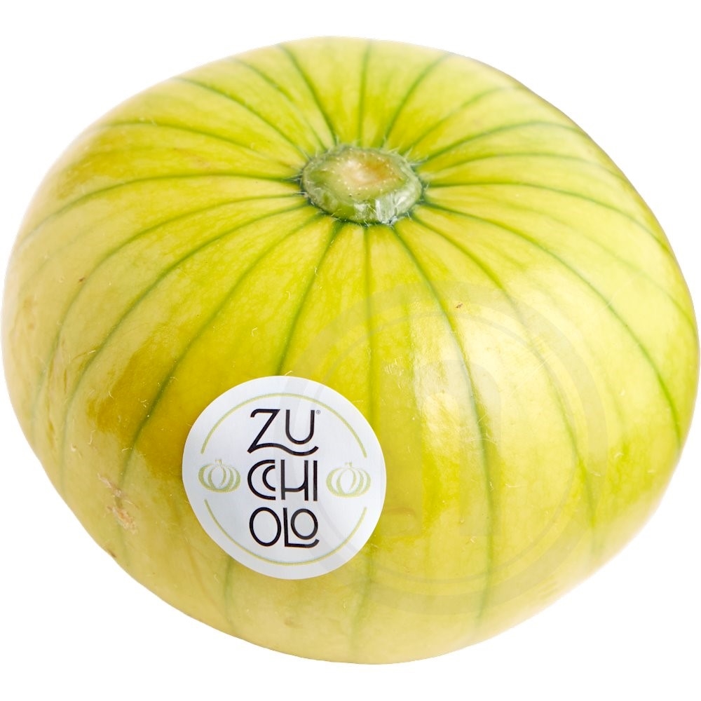 Zucchiolo squash